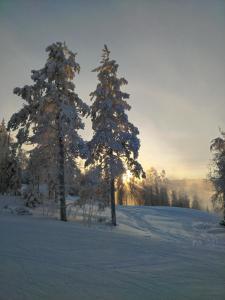 Afbeelding uit fotogalerij van Talvitahko 4 in Tahkovuori