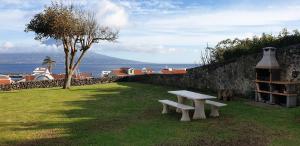 Gallery image of São Pedro Apartamentos in Horta
