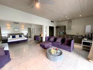 Η κουζίνα ή μικρή κουζίνα στο Stunning Waterfront Suite, Antigua English Harbour