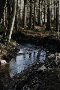 Naturlandschaft in der Nähe des Bed & Breakfasts