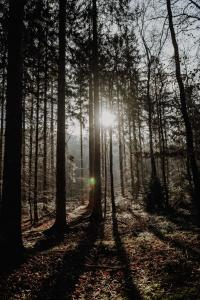 Naturlandschaft in der Nähe des Bed & Breakfasts