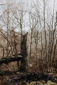 Naturlandschaft in der Nähe des Bed & Breakfasts