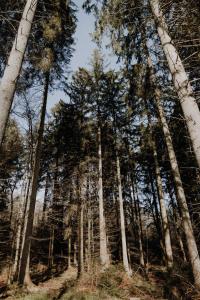 Naturlandschaft in der Nähe des Bed & Breakfasts
