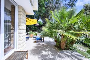 un patio con panchina e palma di Villa Surprise ad Arcachon