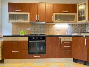 Kuchyň nebo kuchyňský kout v ubytování Apartmán na Perunské