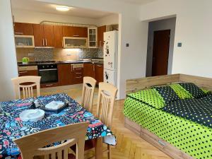 Kuchyň nebo kuchyňský kout v ubytování Apartmán na Perunské