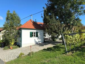Zahrada ubytování Kellerstöckl - Zur Weinrebe
