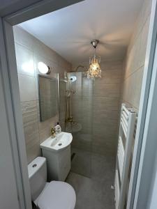 a bathroom with a toilet and a sink and a chandelier at Slatina Armoniei central Luxury Studio Oferim transport de la aeroport și retur contra cost in Slatina +30 photos