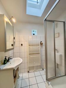 ein Badezimmer mit Dusche und Waschbecken in der Unterkunft Bergisches Cottage Solingen - Tiny House mit Garten in Solingen
