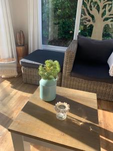 a coffee table with a potted plant on top of it at Sunnychalet in Beekbergen