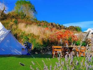 Zahrada ubytování Fairy Fort at Rosemount Glamping
