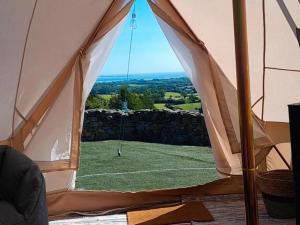 Příroda nedaleko luxury tent
