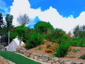 Aed väljaspool majutusasutust Fairy Cove at Rosemount Glamping