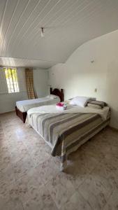 a bedroom with two beds in a room at Bom gosto tutoia in Tutóia