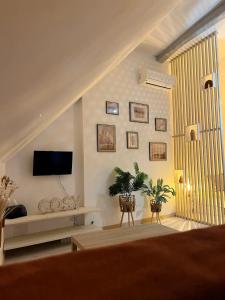 a living room with a television on the wall at Chtx-Style ancien - Fibre - Commerces - Transports in Châteauroux