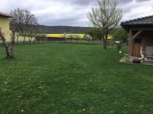 a yard with green grass and trees and a fence at Ferienwohnung an der Klinge in Wiesenbronn