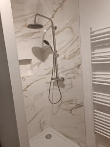 a shower with a shower head in a bathroom at Appartement moderne et bohème in Vittel +17 photos