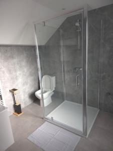 a bathroom with a shower and a toilet at Aqua Loft Suite exécutive & élégante Quartier Européen Bruxelles in Brussels +19 photos