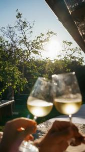 Nápoje v ubytování Podere Scoldasu - Nettuno