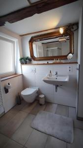 a bathroom with a sink and a toilet and a mirror at Ferienwohnung La Maison Palatinate in Kapsweyer +10 photos
