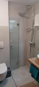 a bathroom with a shower with a toilet and a sink at Ferienunterkünfte Schüle in Leibertingen +12 photos
