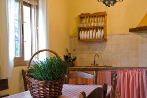Fotografia z galérie ubytovania Rural Montes Málaga: Finca Pedregales v destinácii Málaga