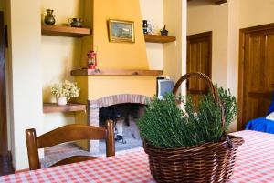 Fotografia z galérie ubytovania Rural Montes Málaga: Finca Pedregales v destinácii Málaga