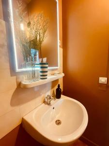 a bathroom with a sink and a mirror at La casa venta in Tournon-sur-Rhône +11 photos