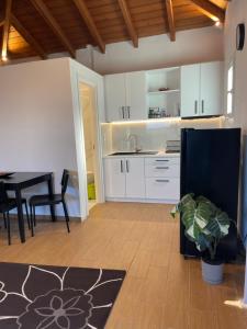 Kuchyň nebo kuchyňský kout v ubytování Pool Guesthouse