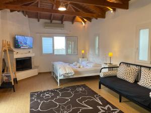 TV a/nebo společenská místnost v ubytování Pool Guesthouse