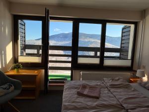 山景或在旅馆看到的山景