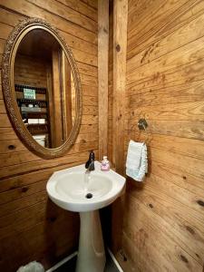 un baño con lavabo y espejo en The Pelicans Nest, en Farmerville