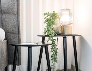 Fotografie z fotogalerie ubytování NYA Boutique Suite v destinaci Jerucham