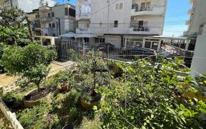 都拉斯Kevin s house的一座花园,在一座建筑前种有树木和植物