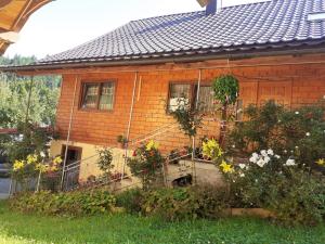 a house with flowers and plants in front of it at Pensiunea Mery in Albac