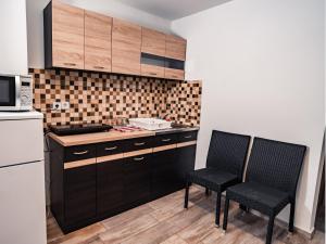 Kuchyň nebo kuchyňský kout v ubytování Siocamping Házak Homes
