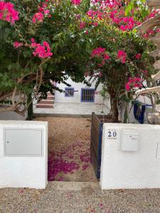 ロダルキラルにあるCasa Gataの建物前のピンクの花が咲く電箱2つ