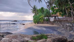 a sandy beach with trees and the ocean at Sparrow Villa in Talpe