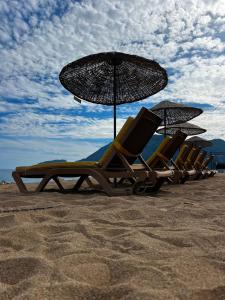 a row of chairs and umbrellas on a beach at Myland Nature in Cıralı
