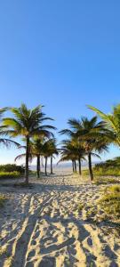 a row of palm trees on a sandy beach at Chales Aconchego JN in Bertioga
