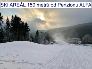 Příroda nedaleko penzionu