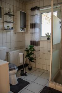 Ένα μπάνιο στο Ferienwohnung in Arnsberg mit Süd-Terrasse +26 φωτογραφίες