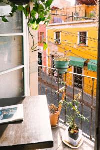 Balkón nebo terasa v ubytování Hostalito Casa Alebrije