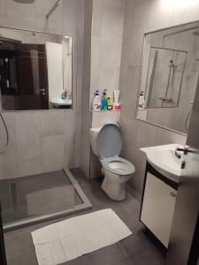 a bathroom with a toilet and a sink and a mirror at Cristina's Place!! in Sibiu