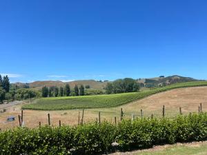 a vineyard with a fence in the middle of a field at Wineries and cycle tracks on your doorstep in Havelock North