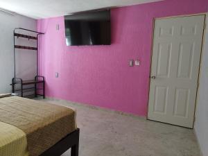 a bedroom with pink walls and a white door at HOTEL SOL in Guadalajara