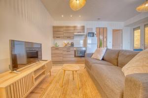 ein Wohnzimmer mit Sofa und Flachbildfernseher in der Unterkunft Horizon Houzeau in Reims