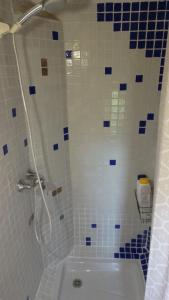 a bathroom with a shower with a white and blue tiles at Acogedor apartamento al sur de la Sierra de Gredos in Poyales del Hoyo +20 photos