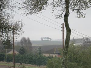 a view of a field with palm trees in the distance at Broomlea in Inverness