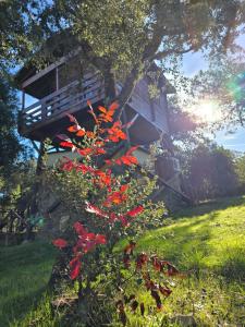 Zahrada ubytování Nuevo Ecolodge Cabañeros